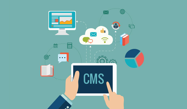 CMS Management System Software