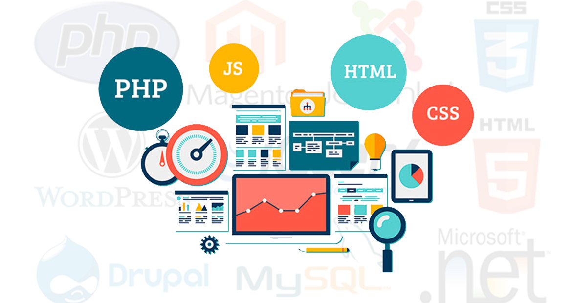 Net Dynamic Web Portal Development