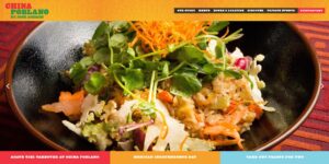 china 10 Restaurant Website Design Examples